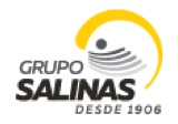 Logo Grupo Salinas